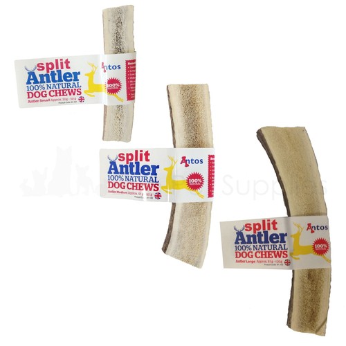 Antos split deer antler dog - antos,