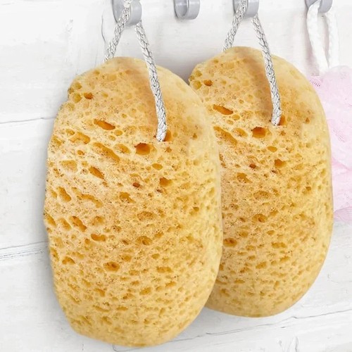 Large bath sponges - bath,