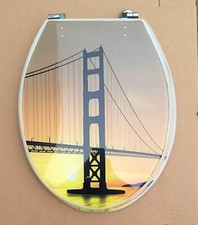 Open Box Resin San Francisco Picture Toilet Seat