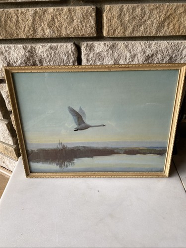 Vernon ward landscape print - vernon,