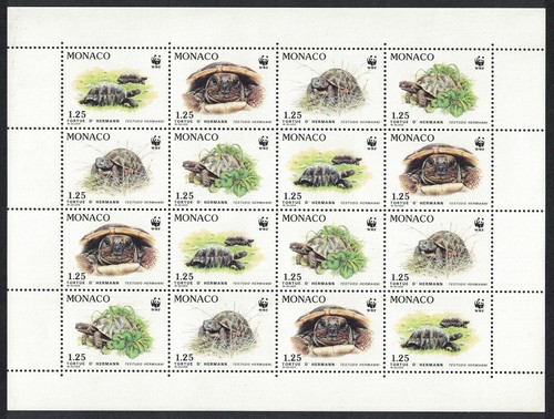 Monaco wwf hermann - wwf, tortoise