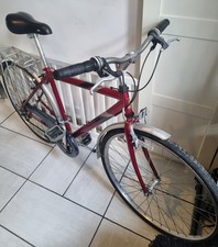 Raleigh pioneer - raleigh,