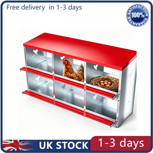 Compartment chicken nesting - chicken,