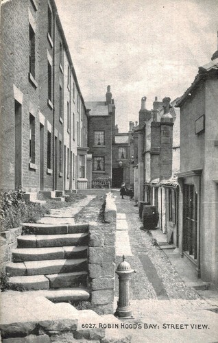 Vintage photograph robin - vintage,