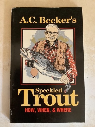 Brook trout fishing - brook,