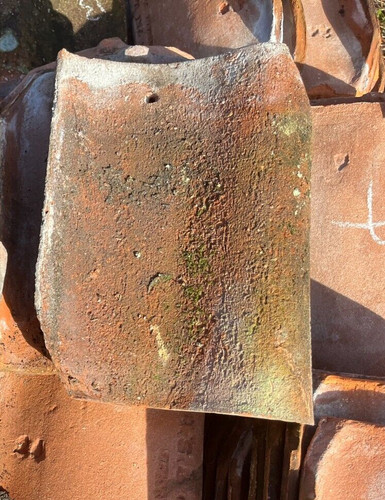 Terracotta pantiles pan - terracotta,