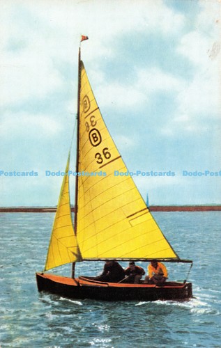 R529099 oxey bird clinker - oxey,