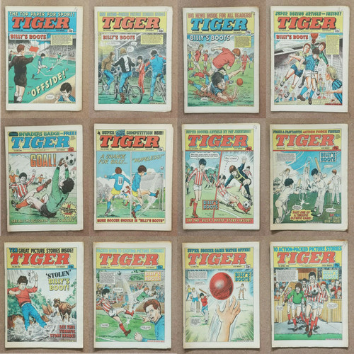 Tiger football sports - tiger,