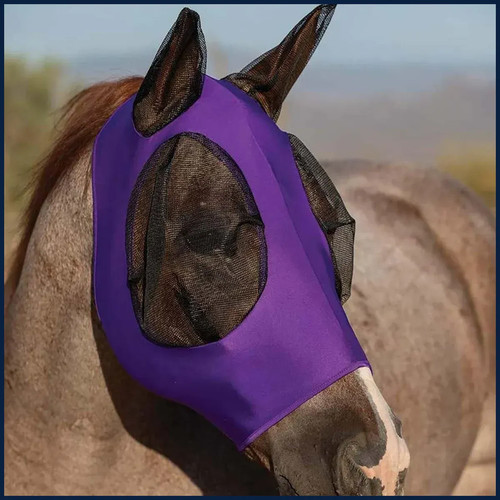 Protection horse fly - horse,