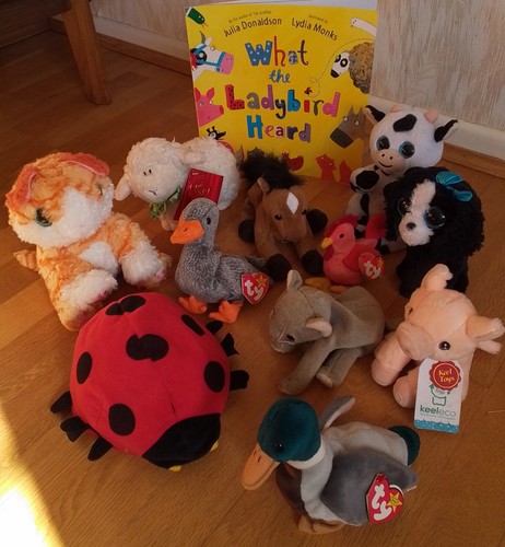 What the ladybird heard eyfs - the,