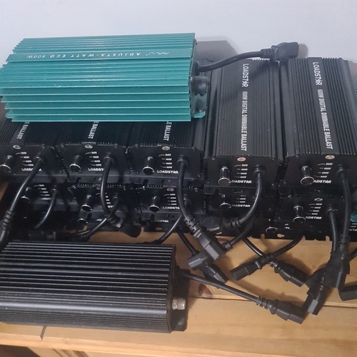 Loadstar everyday 600w digital - loadstar,