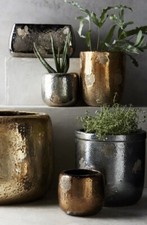New Anthropologie Metallic Crackle  Herb Plant Pot 