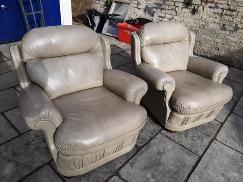 Pair vintage art forma - forma, pale