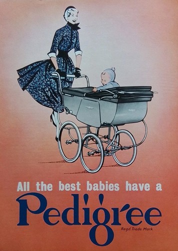 Original colour advertisement - original,