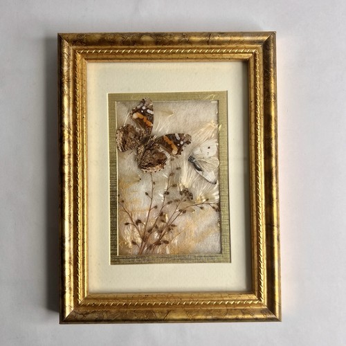 Vintage butterfly and - vintage,