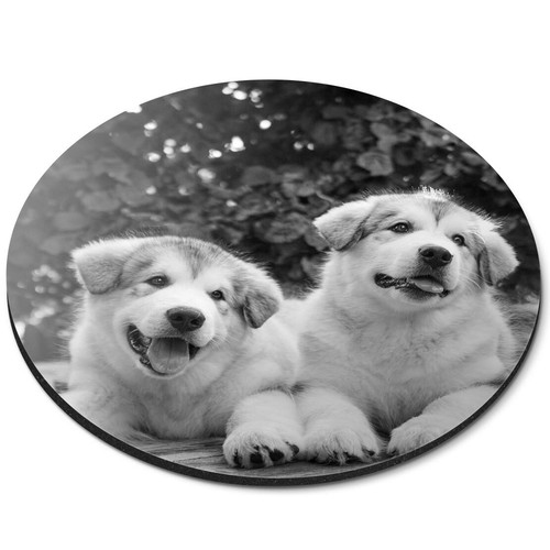 Round mouse mat alaskan - mouse,