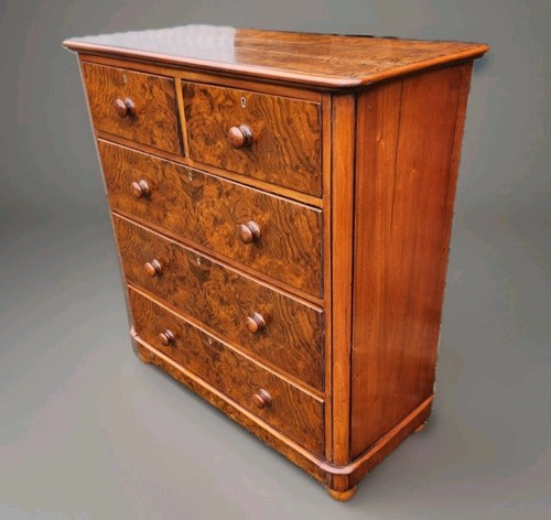 Victorian burr walnut chest - walnut,