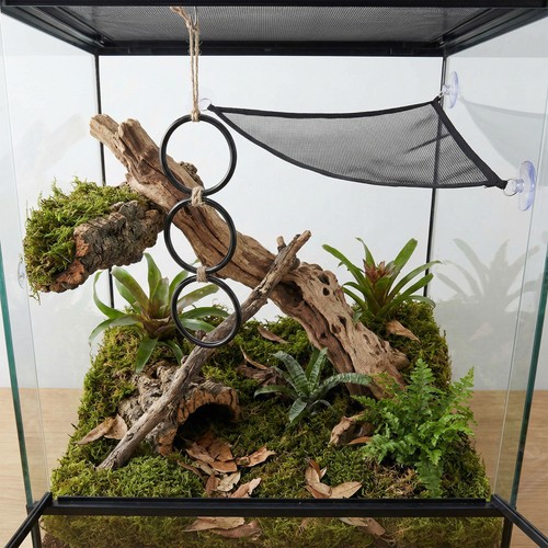 Reptile pet toy set snake - toy,