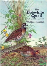 Walter Rosene BOBWHITE QUAIL