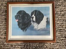 Newfoundland Dogs Limited Edition Fine Art Giclee Print  (no.178/500)Vic Granger