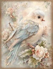 Vintage Christmas Bird, 1x A4