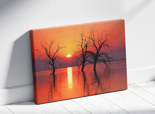 Sunset over lake tree canvas - lake,