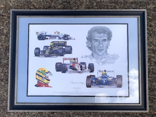 Collection ayrton senna - ayrton,