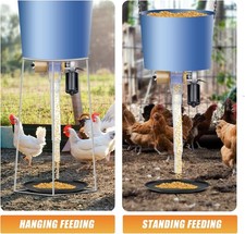 Timed Chicken Feeder and Duck