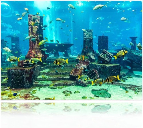 Fish tank sticker aquarium - tank,