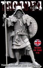 Troop54 The Northerner Viking