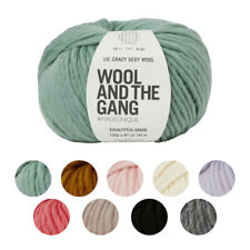 Wool and the Gang Lil Crazy Sexy Wool Knitting and Crochet Yarn