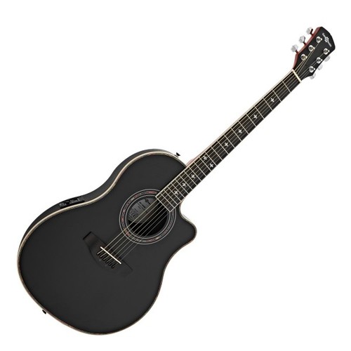 Roundback electro acoustic - electro,