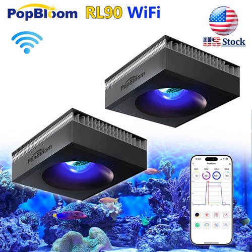 2pcs popbloom saltwater - 2pcs,
