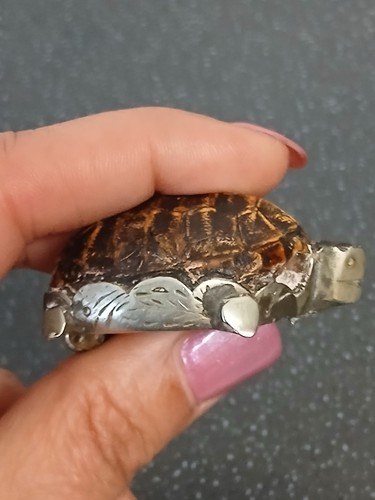 Antique victorian tortoise - antique,