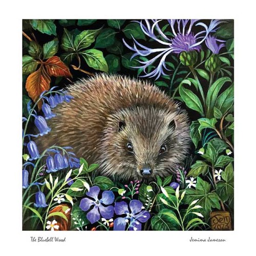 Jemima jameson the bluebell - jemima,