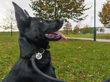 Nylon Slip Dog Lead Rope Heavy Duty Training Leash 3 Sizes UK Made