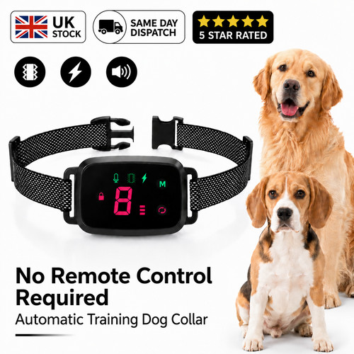 Smart automatic electric - smart, pet