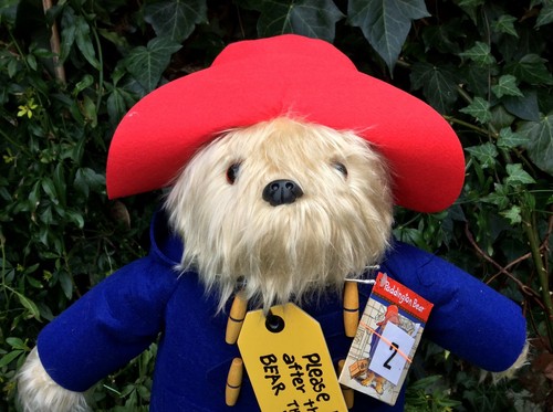 Rainbow designs paddington - rainbow,