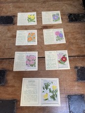 Kensitas Flowers Tobacco