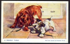 Friendly Tussle: Red Cocker Spaniel & Sealyham. Mabel Gear Vintage Postcard