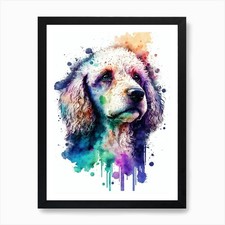Cute poodle watercolor - cute,