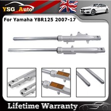 Silver front fork legs - fork,