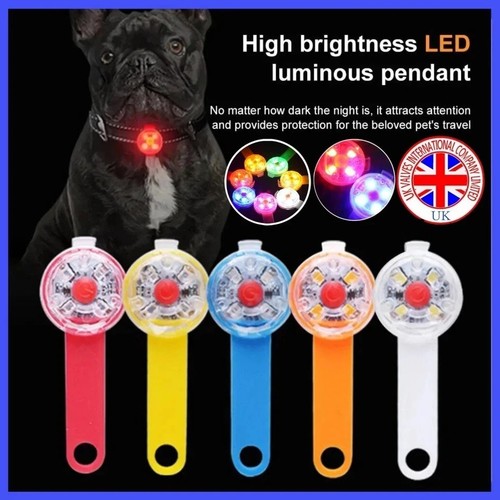 Rechargeable dog collar - collar, light