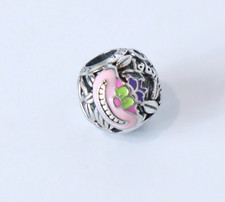 Pandora Disney Parks Cheshire