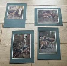 G D ARMOUR Vintage Fox &