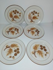 DENBY COTSWOLD 6 DINNER PLATES