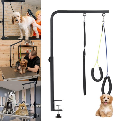 Pet grooming arm with - arm, clamp