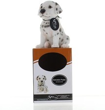 Vivid Arts Sitting Dalmatian