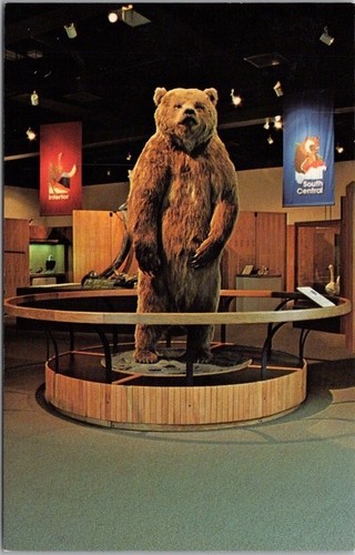 University alaska museum - university,