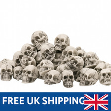 25 Miniature Resin Skull